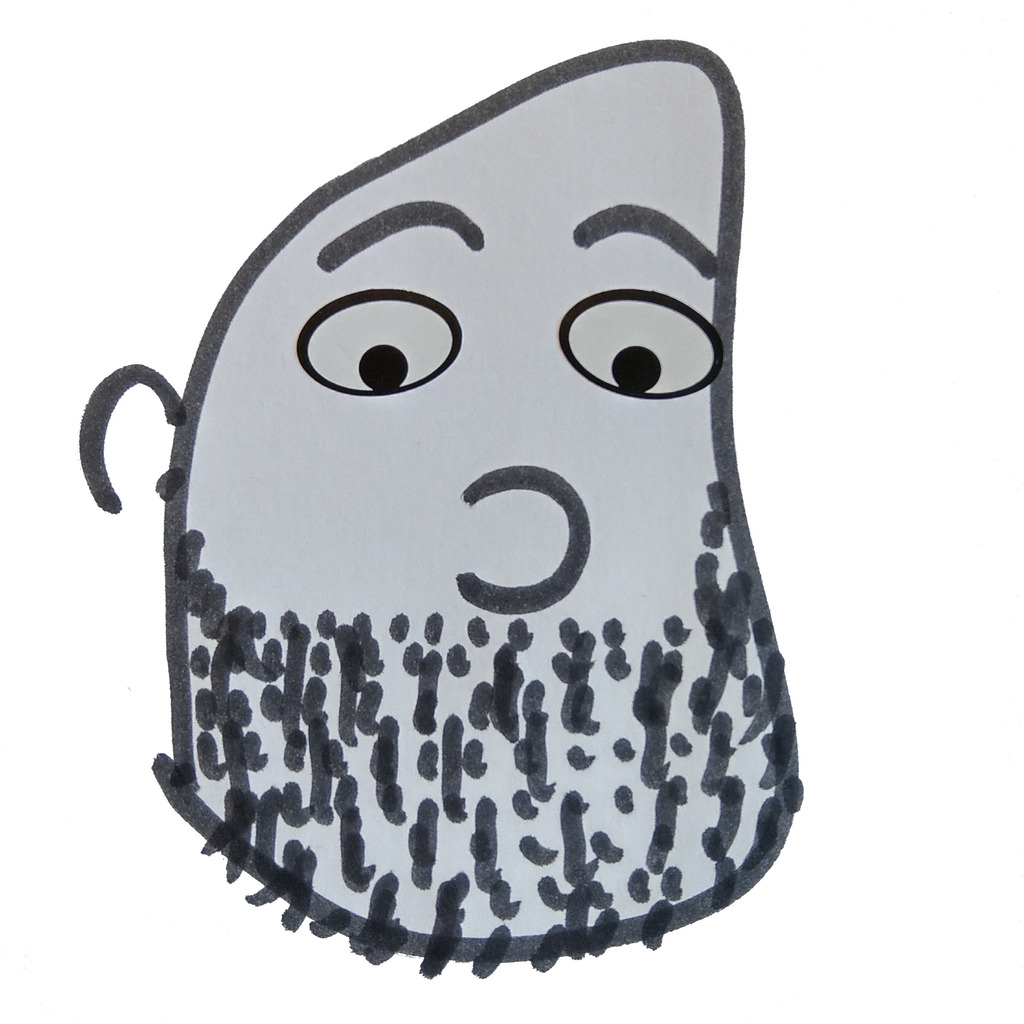 Johannes Beer Tour Guide beetle XING