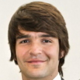 Prof. Dr. Stefan Töpfl's profile picture