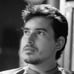 Ing. Javier Dall' Amore