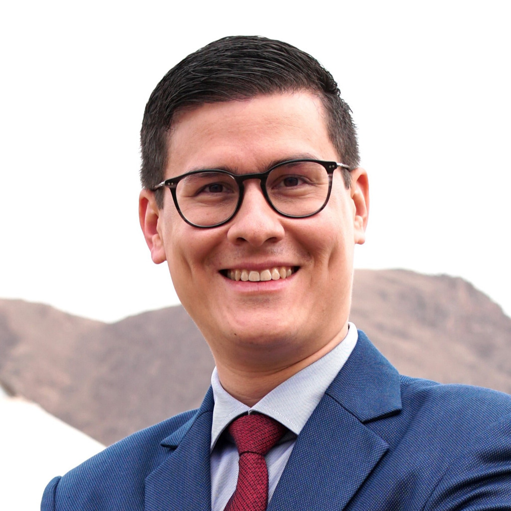 Nikolas Hatz Founder & Owner HatzConsult GmbH XING