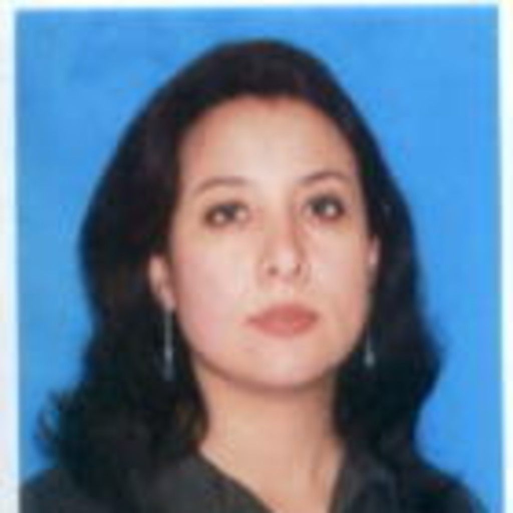 Patricia Aguirre Consultora de proyectos Independiente XING