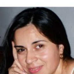 C. J. Paz Bustos