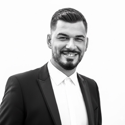 Adin Hamzic