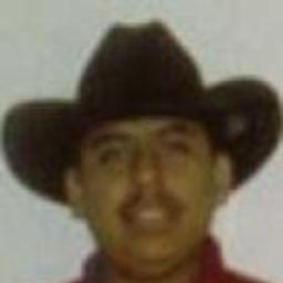 ulises salas