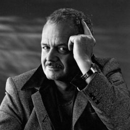 Wolfgang Lang