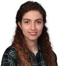 Ing. Naghmeh Zarei