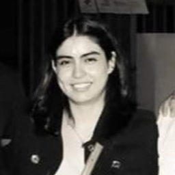 Lourdes A. Fernández Sánchez