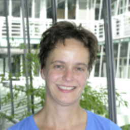 Sibylle Kumm