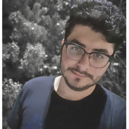 Ammar Salem