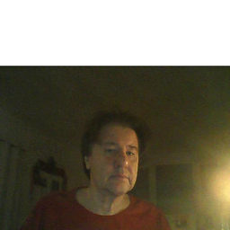 Henrik Ambacher