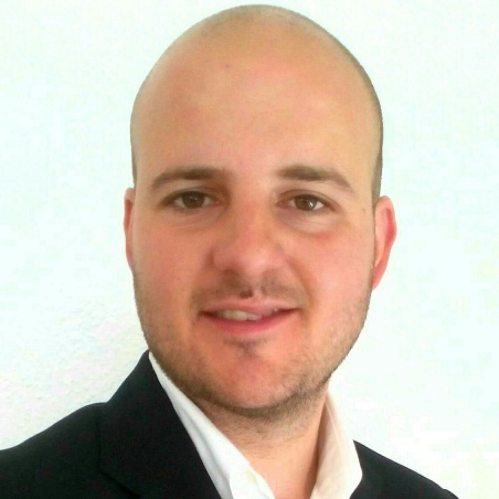 Carlos González Roca Elektro Planer PV Goldbeck Solar GmbH XING