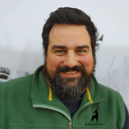 Jochen Küpfer's profile picture