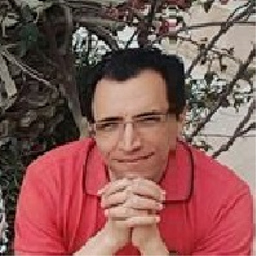 Amir Alizade