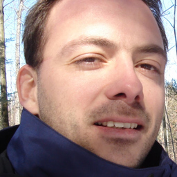 Louis Roy