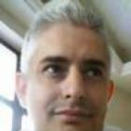 Luis Manuel Correia Rodrigues