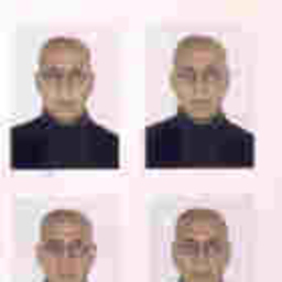 Dr. Peter Felch