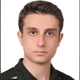 Shahin Rafiee Taghanaki