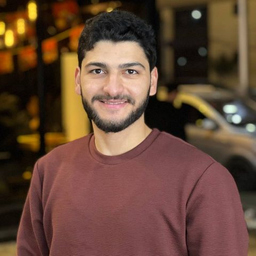 Mohamed Elsaid Mohamed 
