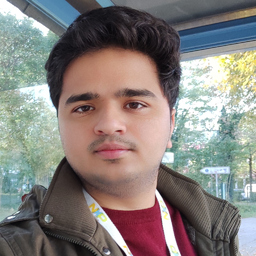 Romit Modi