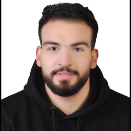 Tarek Abdelmeguid
