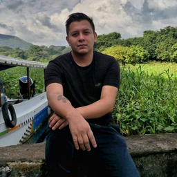 Dante Tadeo Martinez Lopez