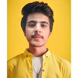 Haris Dev