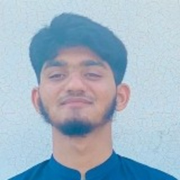 Salman Ali