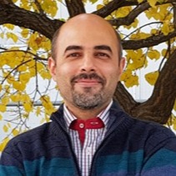 Mehdi Sadri