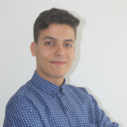 Salaheddine Oulad Ben Taib - Software Developer - Foliatech France | XING