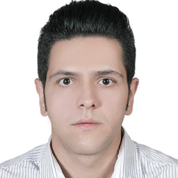 hamed roham