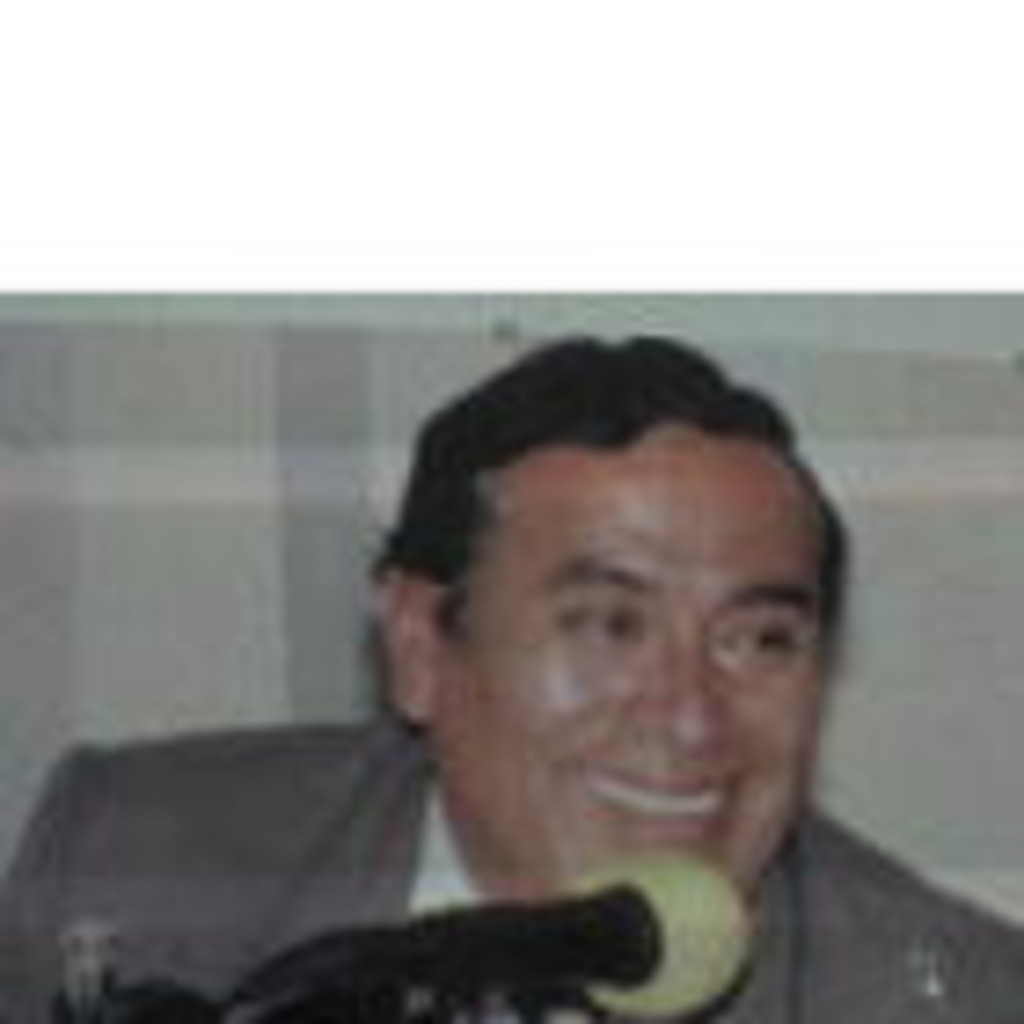 Rafael Leon Valdez Auditor interno Talento Ejecutivo S.A.C.. XING