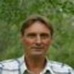 Timo Heikkinen