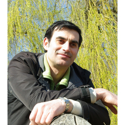 Dmitry Mikheev