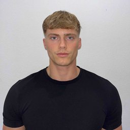 Nico Fritsch's profile picture