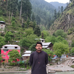 MUHAMMAD FAISAL MAHMOOD