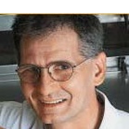 Robert Bayer