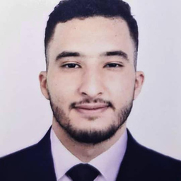 Ramzi SAAL