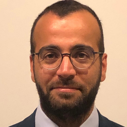 hesam Gholami Yarahmadi