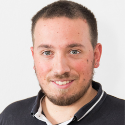 Ing. Daniel Schrey