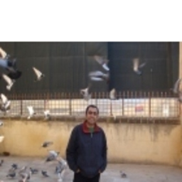 Nihat Dogan
