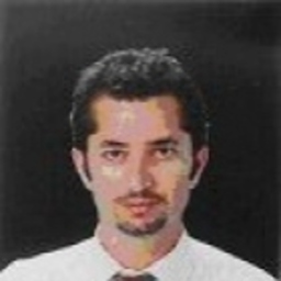 Erol Görgülü