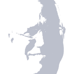 Torsten Schmidt