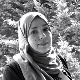 hanen ziri