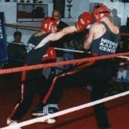 Armin KLAUS