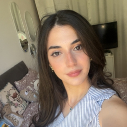 Alaa Hamwi