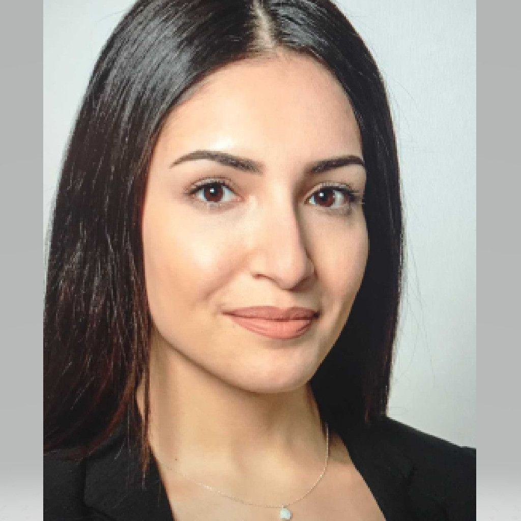 Mina Abbasi Consultant Volkswagen Group Services GmbH XING