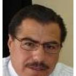 MELESIO LOPEZ LOPEZ