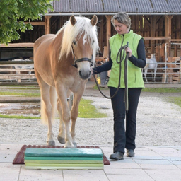 Mag. Marion Aschenbrenner's profile picture