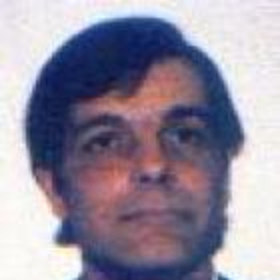 andrea garlinzoni