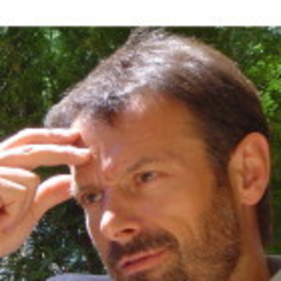 Martin Bolli's profile picture
